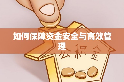 略阳如何保障资金安全与高效管理
