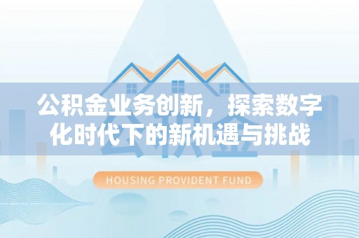 泸西公积金业务创新，探索数字化时代下的新机遇与挑战