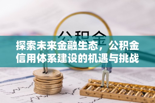 台西探索未来金融生态，公积金信用体系建设的机遇与挑战