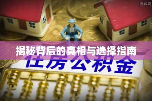 麦寮揭秘背后的真相与选择指南