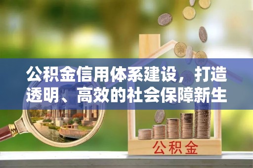 都江堰公积金信用体系建设，打造透明、高效的社会保障新生态