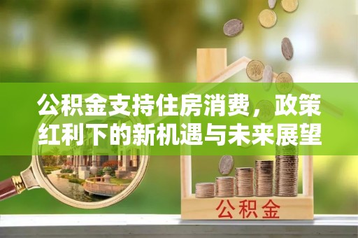 聊城公积金支持住房消费，政策红利下的新机遇与未来展望