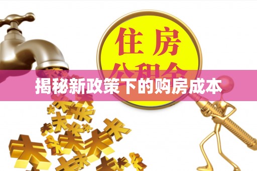 林口揭秘新政策下的购房成本