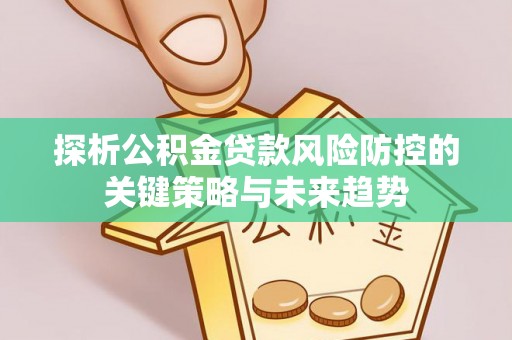林口探析公积金贷款风险防控的关键策略与未来趋势