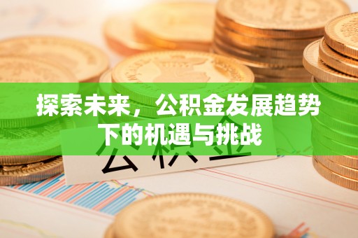 丰润探索未来，公积金发展趋势下的机遇与挑战