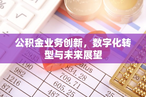 美浓公积金业务创新，数字化转型与未来展望