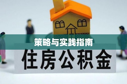 梁子湖策略与实践指南