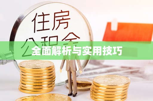 苏尼特右旗全面解析与实用技巧
