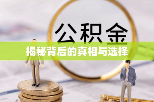 青龙揭秘背后的真相与选择
