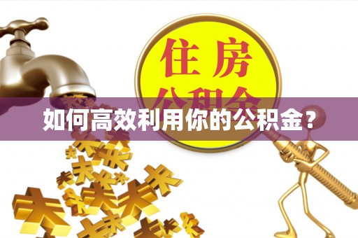 桃山如何高效利用你的公积金？