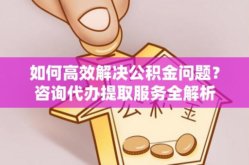 兴国如何高效解决公积金问题？咨询代办提取服务全解析