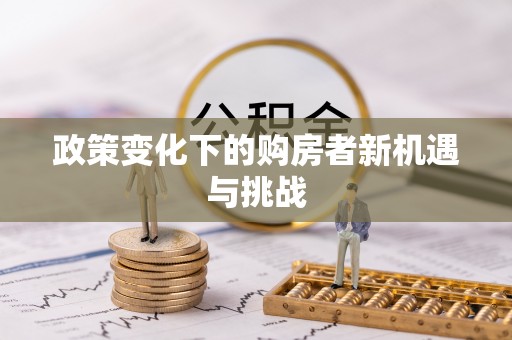 抚远政策变化下的购房者新机遇与挑战