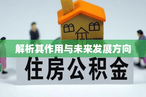 宜君解析其作用与未来发展方向