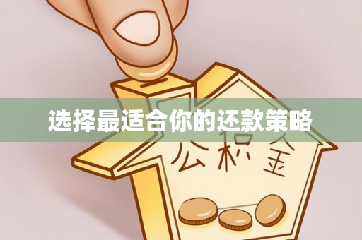 曲麻莱选择最适合你的还款策略