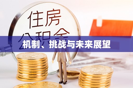 利川机制、挑战与未来展望